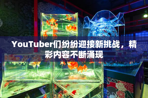 YouTuber们纷纷迎接新挑战，精彩内容不断涌现