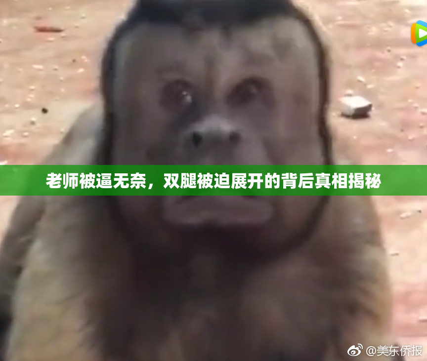 老师被逼无奈，双腿被迫展开的背后真相揭秘