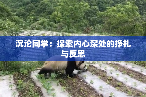 沉沦同学：探索内心深处的挣扎与反思