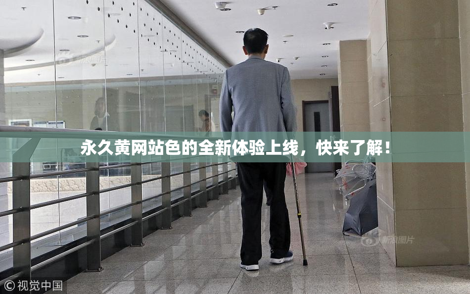 永久黄网站色的全新体验上线，快来了解！
