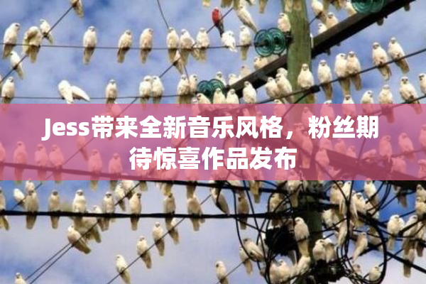 Jess带来全新音乐风格，粉丝期待惊喜作品发布
