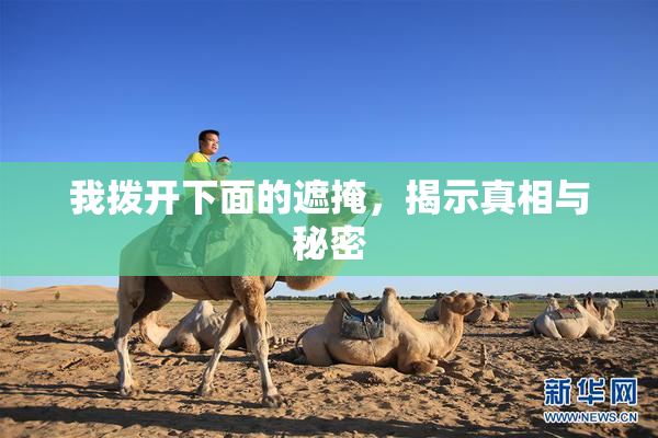我拨开下面的遮掩，揭示真相与秘密