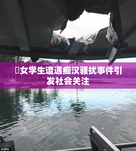 巜女学生遭遇痴汉骚扰事件引发社会关注