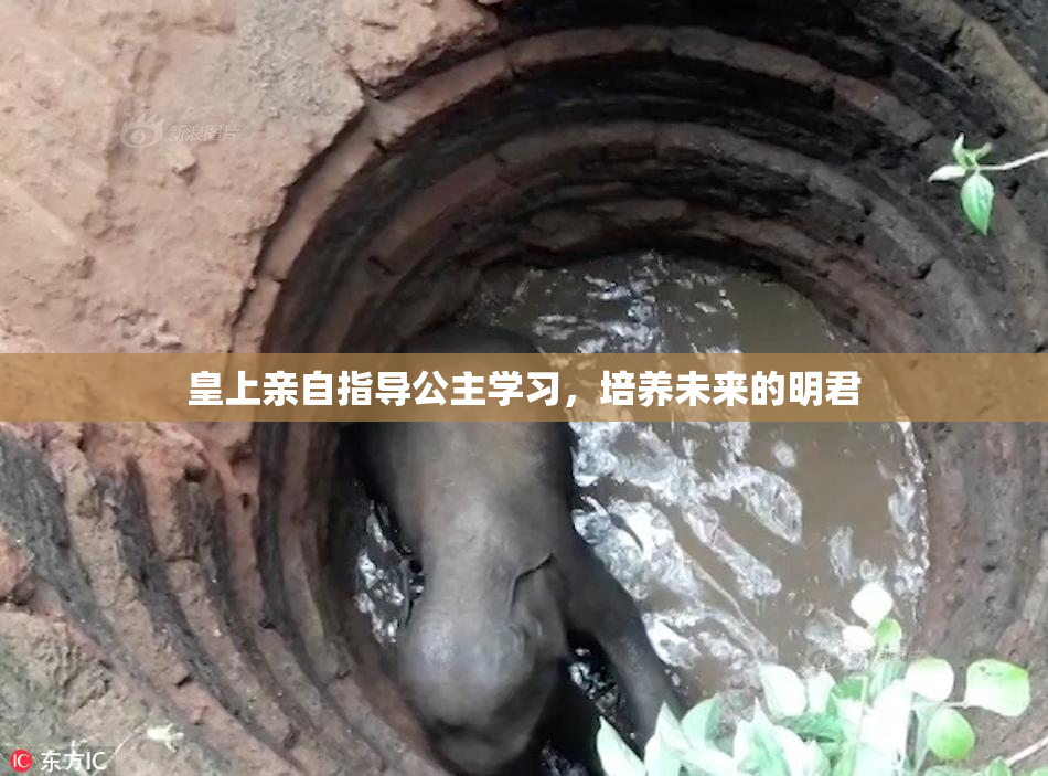 皇上亲自指导公主学习，培养未来的明君
