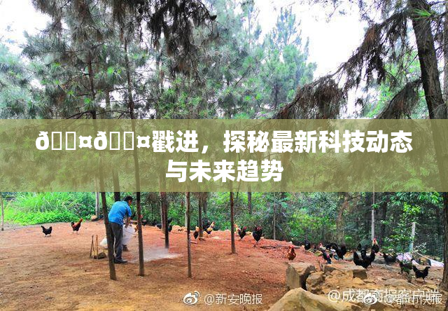 🐤🐤戳进，探秘最新科技动态与未来趋势
