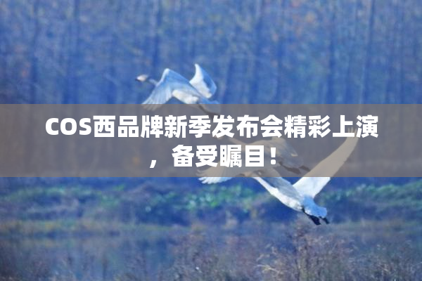 COS西品牌新季发布会精彩上演，备受瞩目！