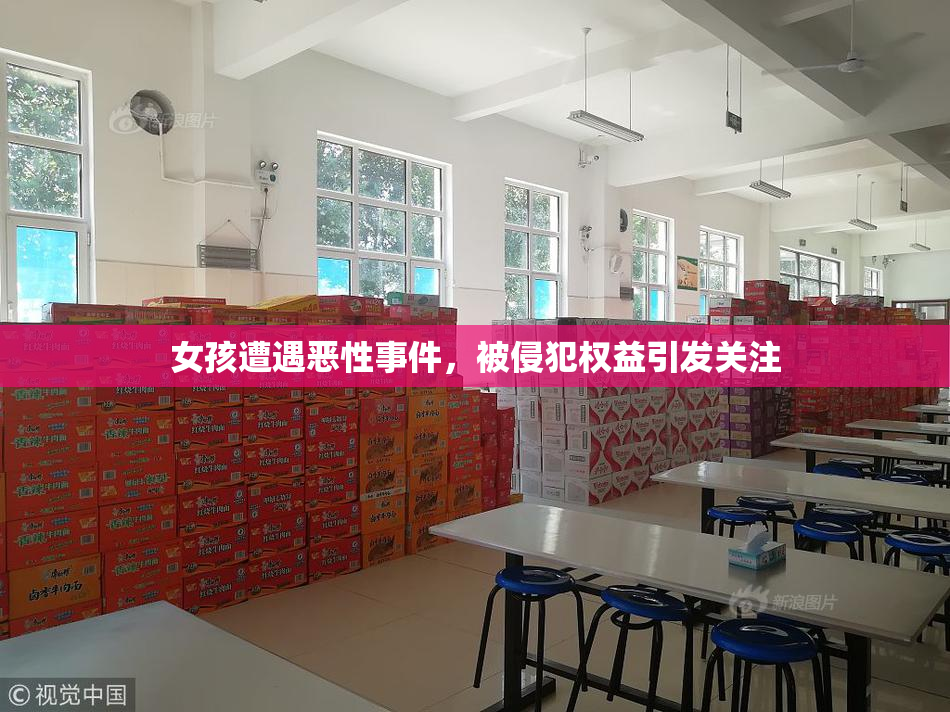 女孩遭遇恶性事件，被侵犯权益引发关注
