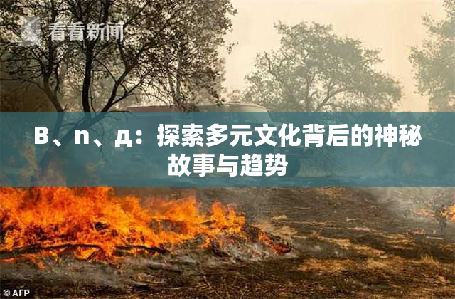 B、n、д：探索多元文化背后的神秘故事与趋势