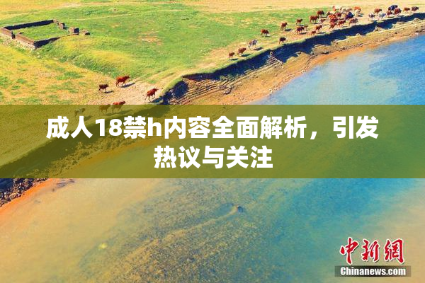 成人18禁h内容全面解析，引发热议与关注