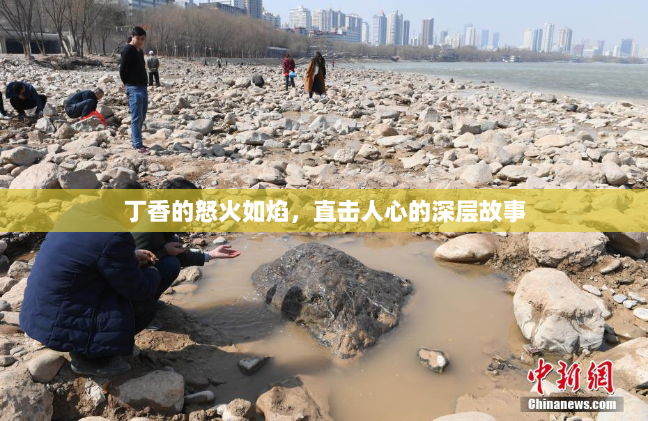 丁香的怒火如焰，直击人心的深层故事