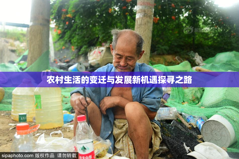 农村生活的变迁与发展新机遇探寻之路