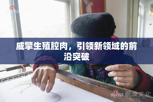 威擎生殖腔肉，引领新领域的前沿突破
