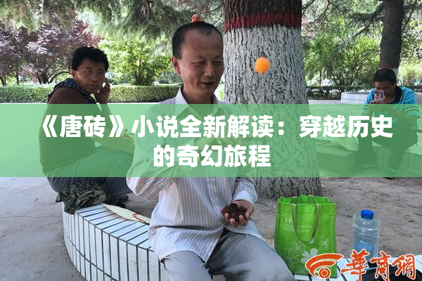 《唐砖》小说全新解读：穿越历史的奇幻旅程