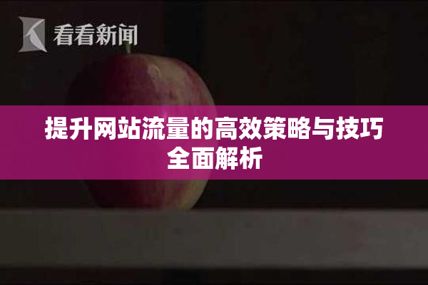 提升网站流量的高效策略与技巧全面解析