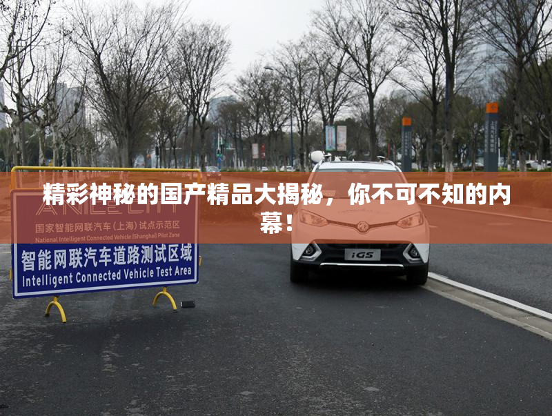 精彩神秘的国产精品大揭秘，你不可不知的内幕！