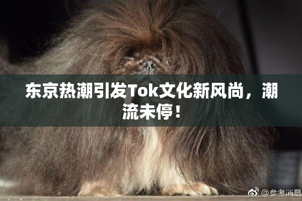 东京热潮引发Tok文化新风尚，潮流未停！