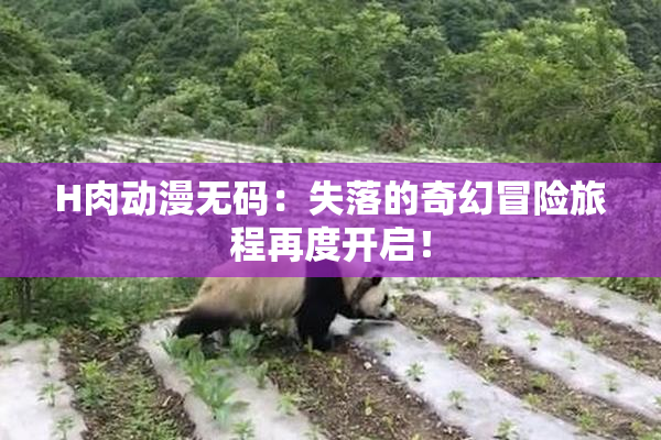 H肉动漫无码：失落的奇幻冒险旅程再度开启！