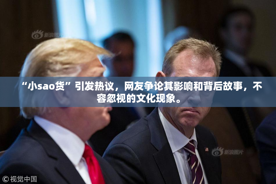 “小sao货”引发热议，网友争论其影响和背后故事，不容忽视的文化现象。