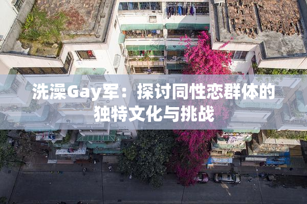洗澡Gay军：探讨同性恋群体的独特文化与挑战