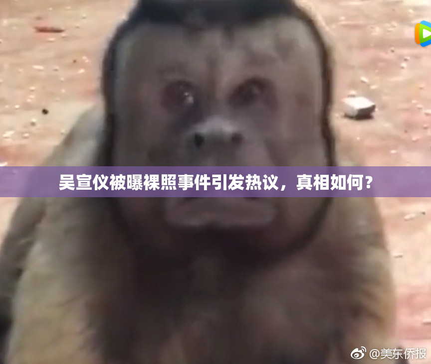 吴宣仪被曝裸照事件引发热议，真相如何？