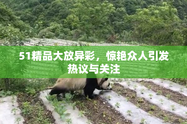 51精品大放异彩，惊艳众人引发热议与关注