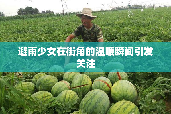 避雨少女在街角的温暖瞬间引发关注