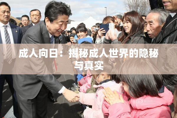 成人向日：揭秘成人世界的隐秘与真实