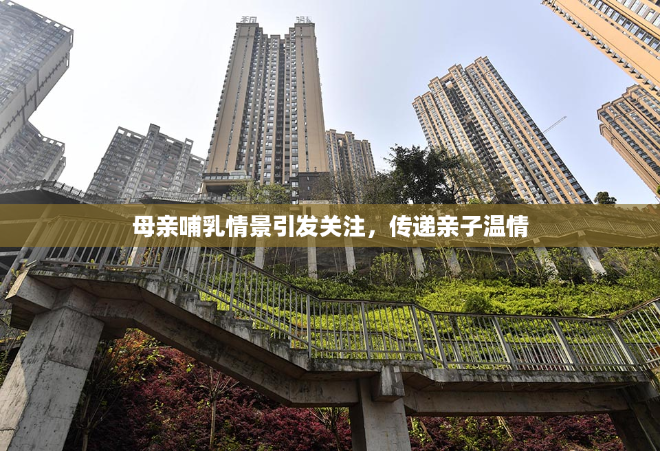 母亲哺乳情景引发关注，传递亲子温情