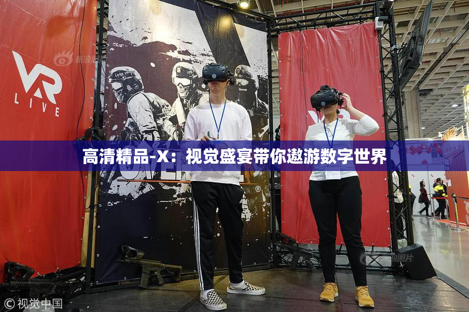 高清精品-X：视觉盛宴带你遨游数字世界