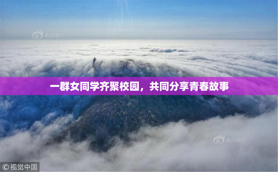 一群女同学齐聚校园，共同分享青春故事