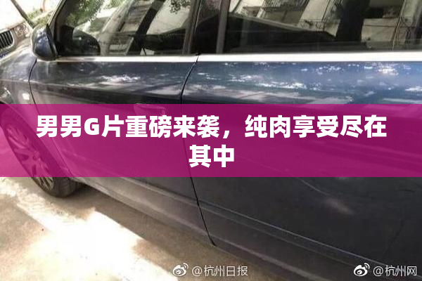 男男G片重磅来袭，纯肉享受尽在其中