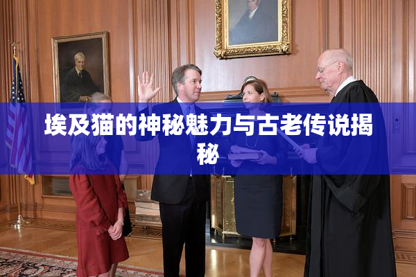 埃及猫的神秘魅力与古老传说揭秘