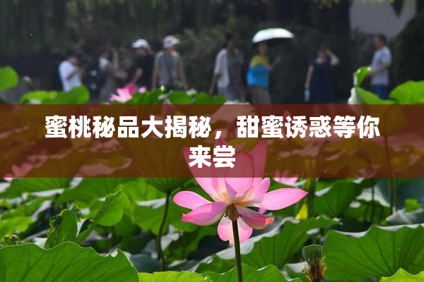 蜜桃秘品大揭秘，甜蜜诱惑等你来尝