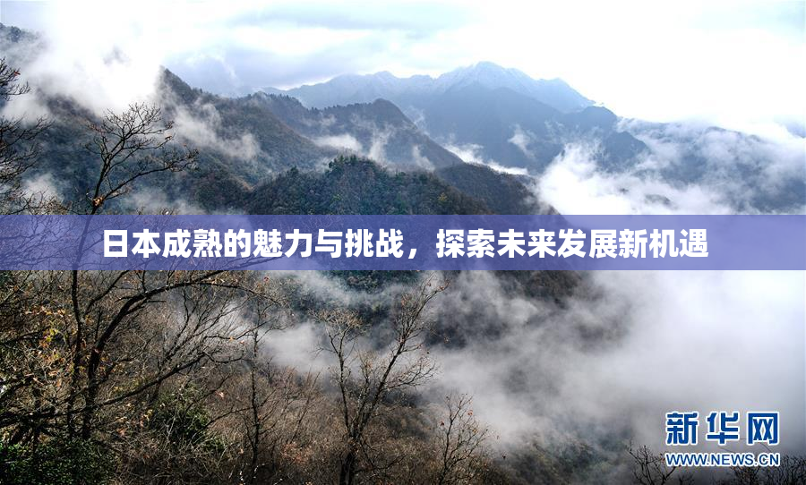 日本成熟的魅力与挑战，探索未来发展新机遇