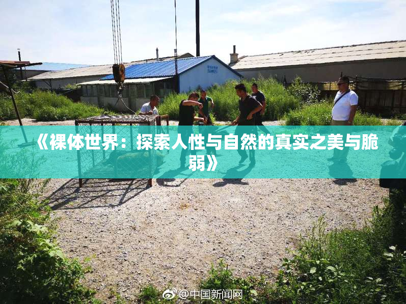 《裸体世界：探索人性与自然的真实之美与脆弱》