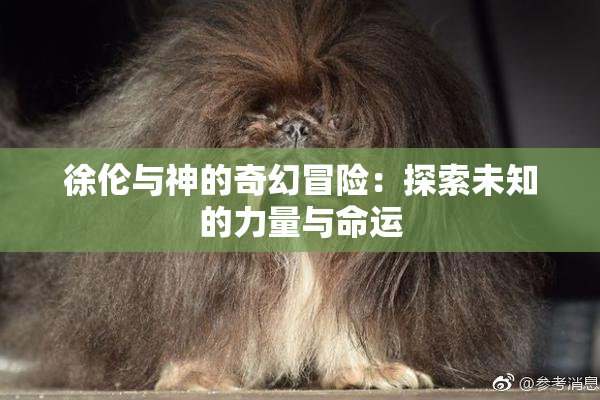 徐伦与神的奇幻冒险：探索未知的力量与命运
