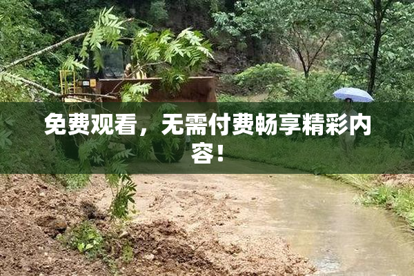 免费观看，无需付费畅享精彩内容！