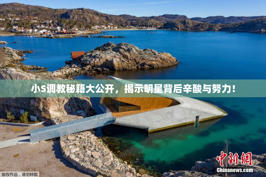 小S调教秘籍大公开，揭示明星背后辛酸与努力！