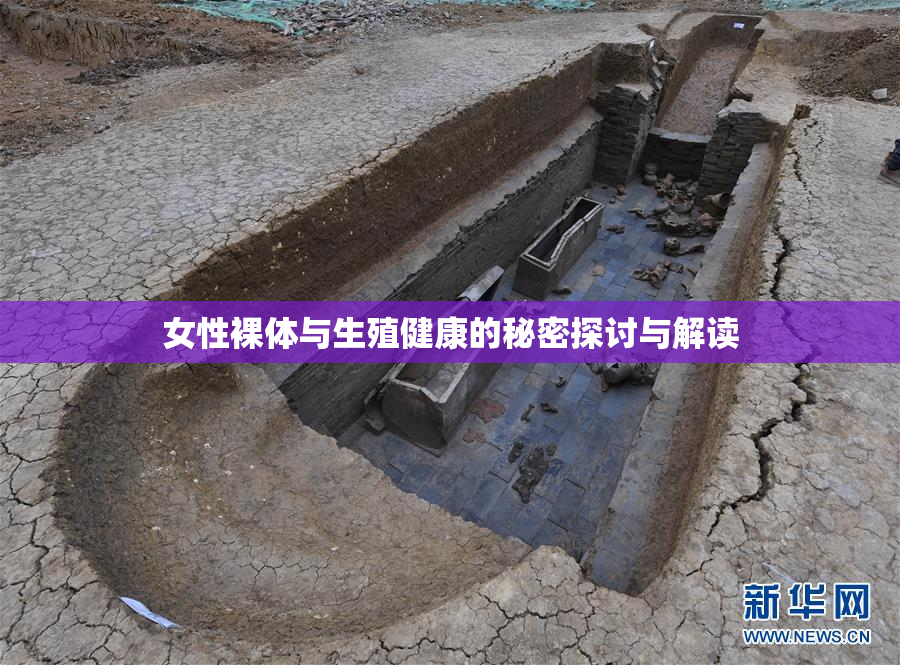 女性裸体与生殖健康的秘密探讨与解读