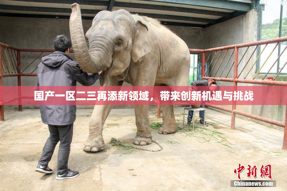 国产一区二三再添新领域，带来创新机遇与挑战