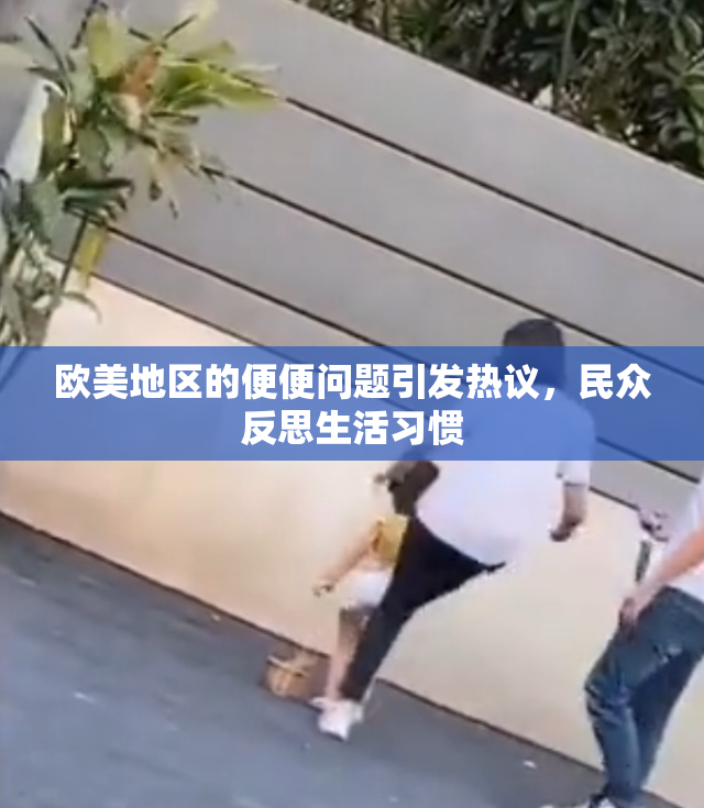 欧美地区的便便问题引发热议，民众反思生活习惯