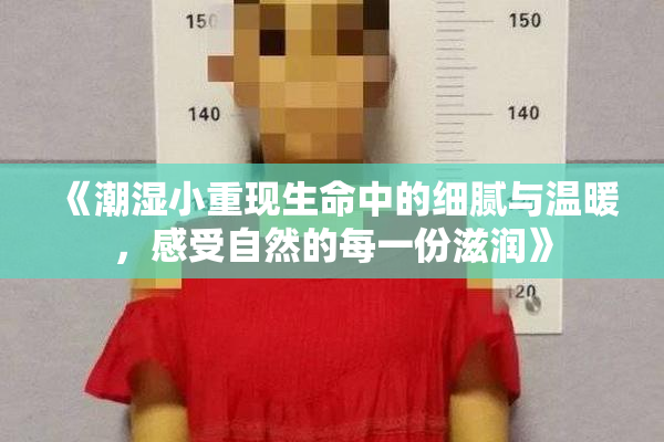《潮湿小重现生命中的细腻与温暖，感受自然的每一份滋润》