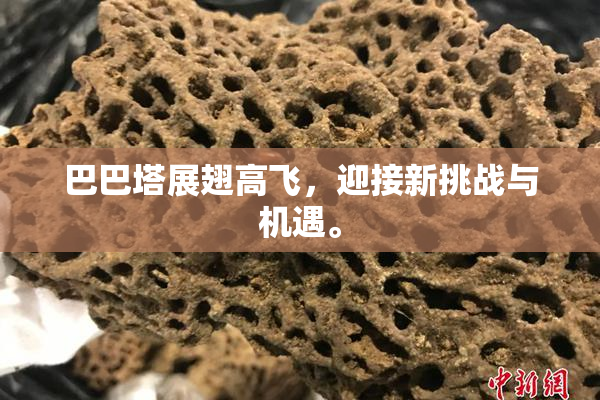 巴巴塔展翅高飞，迎接新挑战与机遇。
