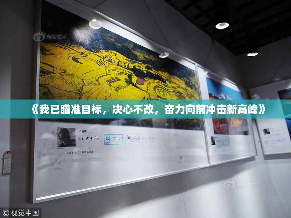 《我已瞄准目标，决心不改，奋力向前冲击新高峰》