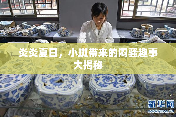 炎炎夏日，小斑带来的闷骚趣事大揭秘