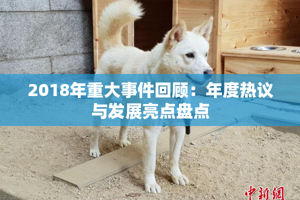 2018年重大事件回顾：年度热议与发展亮点盘点