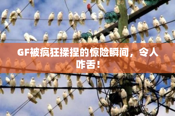 GF被疯狂揉捏的惊险瞬间，令人咋舌！