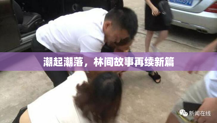 潮起潮落，林间故事再续新篇