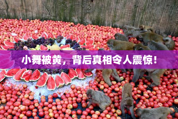 小舞被黄，背后真相令人震惊！