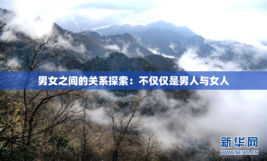 男女之间的关系探索：不仅仅是男人与女人